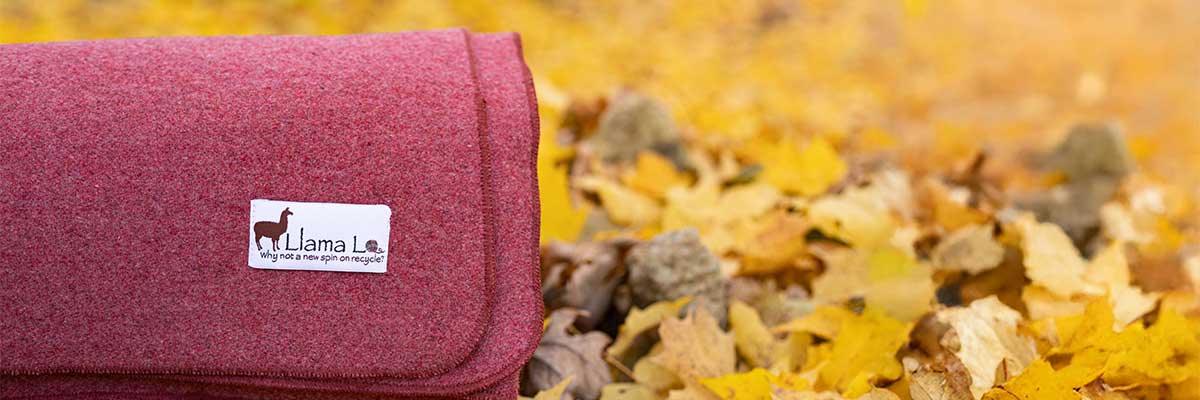 Cranberry colored wool blanket