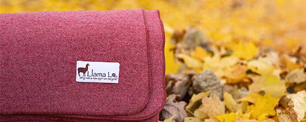 Cranberry colored wool blanket