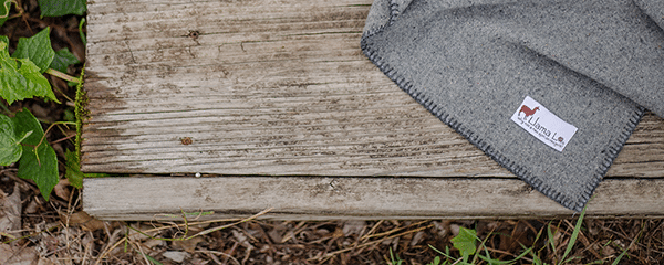 100% Wool Throw Blanket